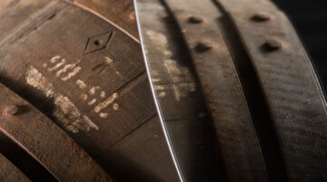 Cu Bocan - barrel reflection- lo res.jpg